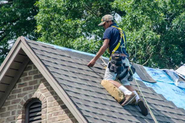 Best New Roof Installation  in Wilder, ID